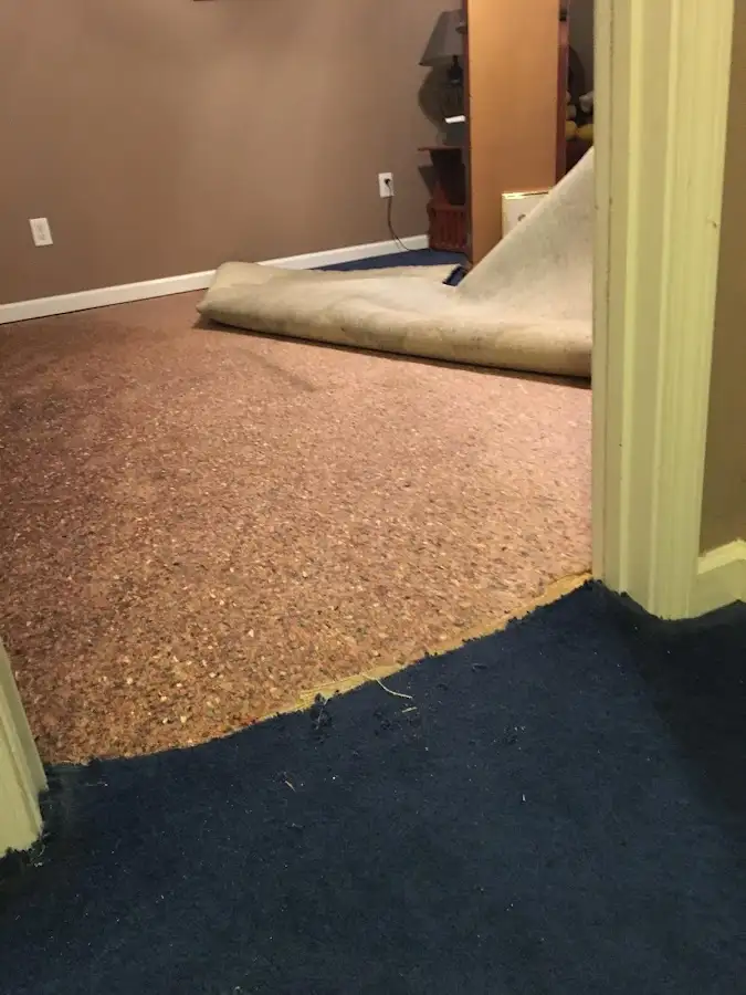 Carpet pad removal revealing water damage during Drying & Dehumidification in West Whittier-Los Nietos